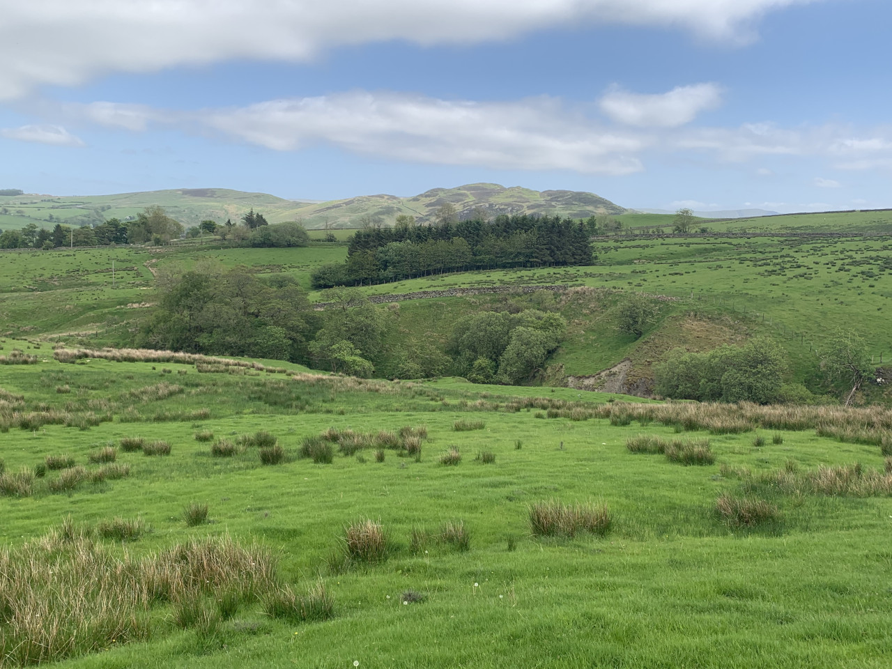 Land at Matterdale - Auction Results